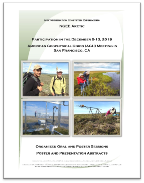 Cover of the NGEE Arctic AGU abstract booklet.